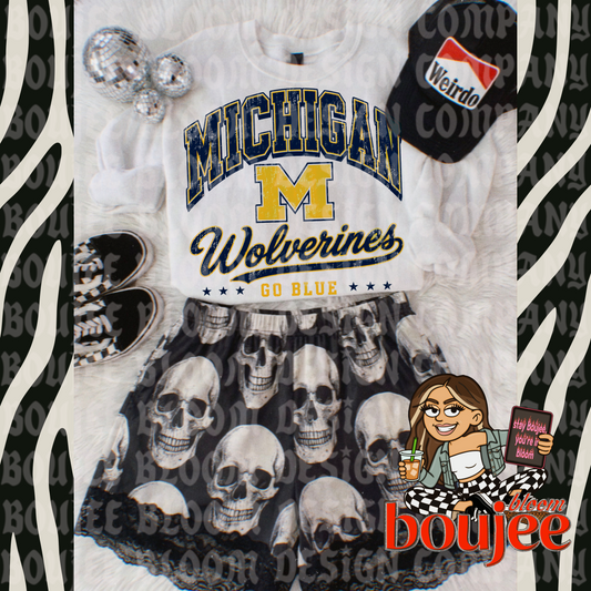 Vintage Michigan Football PNG