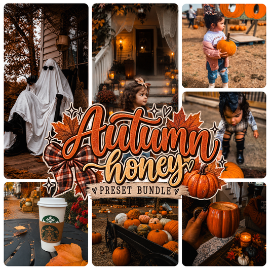 AUTUM HONEY – 7 PRESET LIGHTROOM BUNDLE